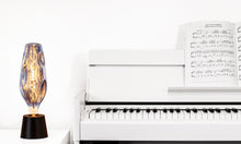 Load image into Gallery viewer, YUURTA LED 12-Inch Silver Glass Oversized Bottle Shape Bulb 4W E26 Spiral Filament