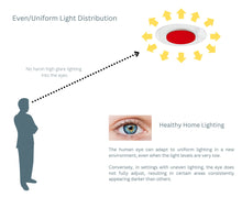 Load image into Gallery viewer, 15-Inch 18W Color Selectable Ceiling/Wall Flush Mount LED Disk Light (Red)