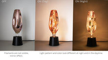 Load image into Gallery viewer, YUURTA LED 12-Inch Copper Tinted Glass Oversized Bottle Shape Bulb 4W E26 Spiral Filament