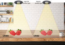 Load image into Gallery viewer, 3 Inch 8W 730Lm Black LED Gimbal Lights (CRI90, 5CCT)