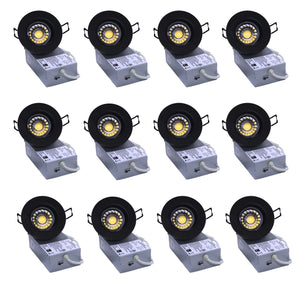 3 Inch 8W 730Lm Black LED Gimbal Lights (CRI90, 5CCT)
